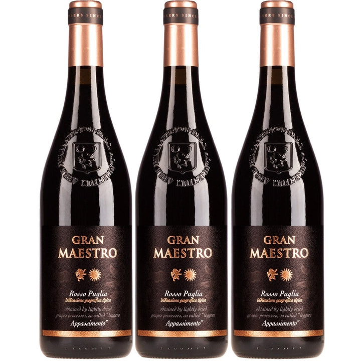 Cielo e Terra Gran Maestro Appassimento Rosso Rotwein Rot Trocken Italien ( 3 x 0,75l) - Versanel - 