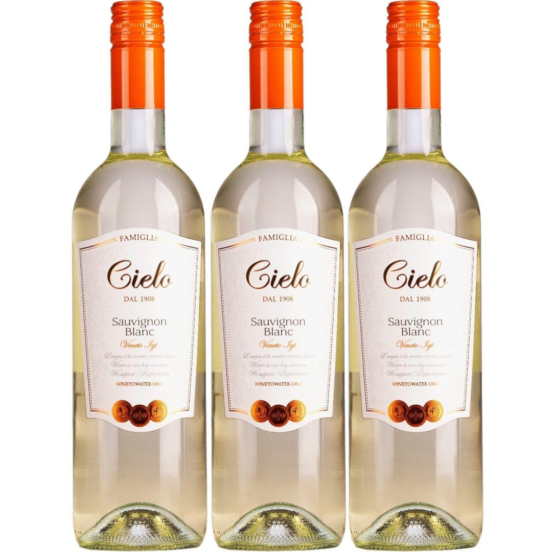 Cielo e Terra Sauvignon Blanc Weisswein Wein Trocken IGT Veneto Italien (3 x 0,75l) - Versanel - 