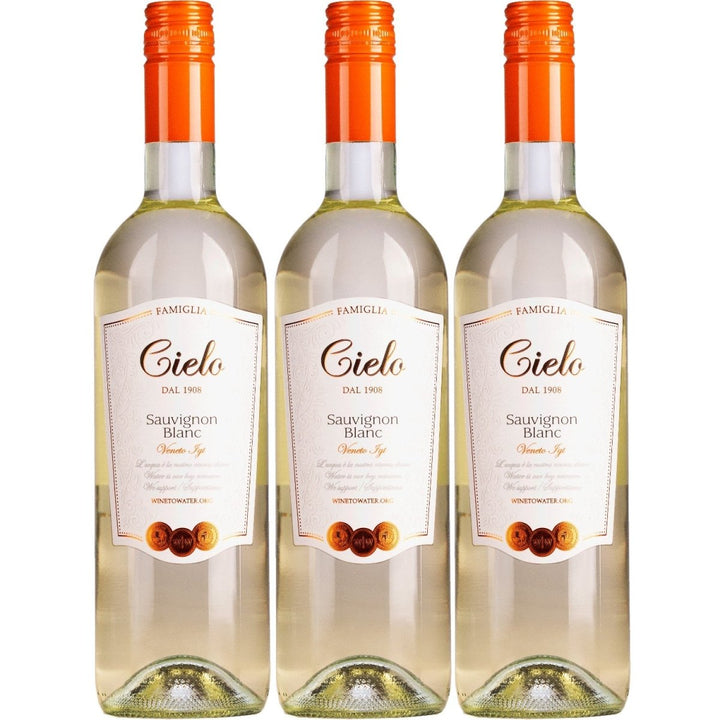 Cielo e Terra Sauvignon Blanc Weisswein Wein Trocken IGT Veneto Italien (3 x 0,75l) - Versanel - 