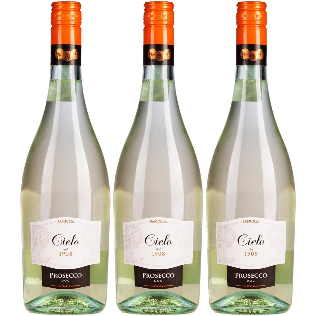 Cielo e Terra Schaumwein Frizzante Veneto Wein Italien (3 x 0,75l) - Versanel - 