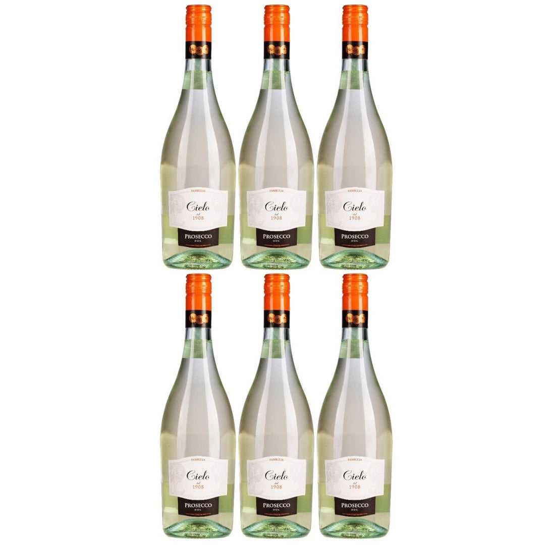 Cielo e Terra Schaumwein Frizzante Veneto Wein Italien (6 x 0,75l) - Versanel - 