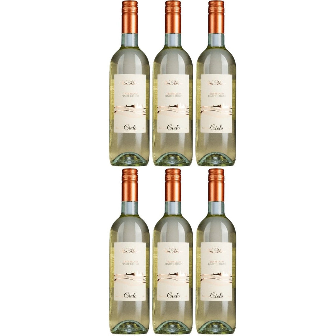 Cielo e Terra Trebbiano Pinot Grigio Weisswein Trocken Weiß Italien (6 x 0,75l) - Versanel - 