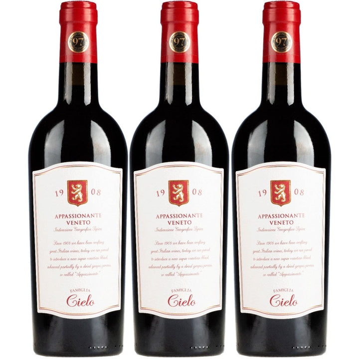 Cielo e TerraAppassionante Rosso Veneto Rotwein Rot Trocken Italien (3 x 0,75l) - Versanel - 