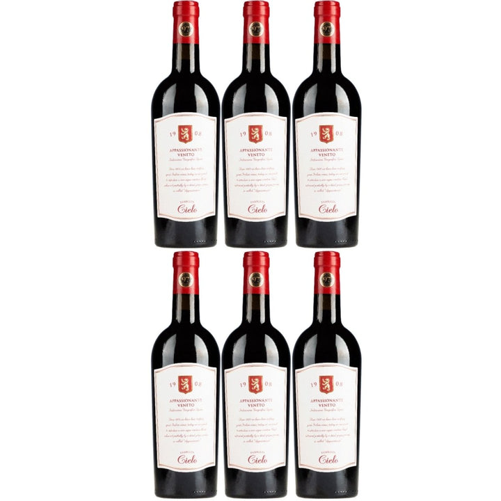 Cielo e TerraAppassionante Rosso Veneto Rotwein Rot Trocken Italien (6 x 0,75l) - Versanel - 