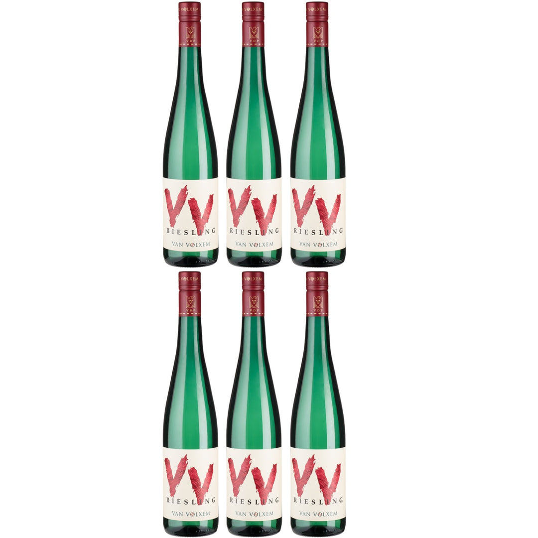Van Volxem Riesling VV white wine German wine dry (6 x 0.75l)