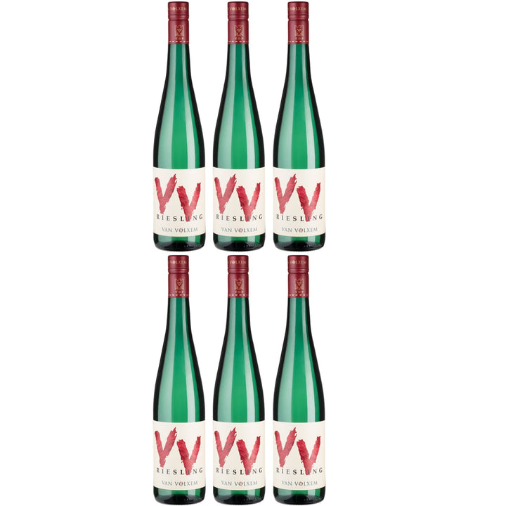 Van Volxem Riesling VV white wine German wine dry (6 x 0.75l)