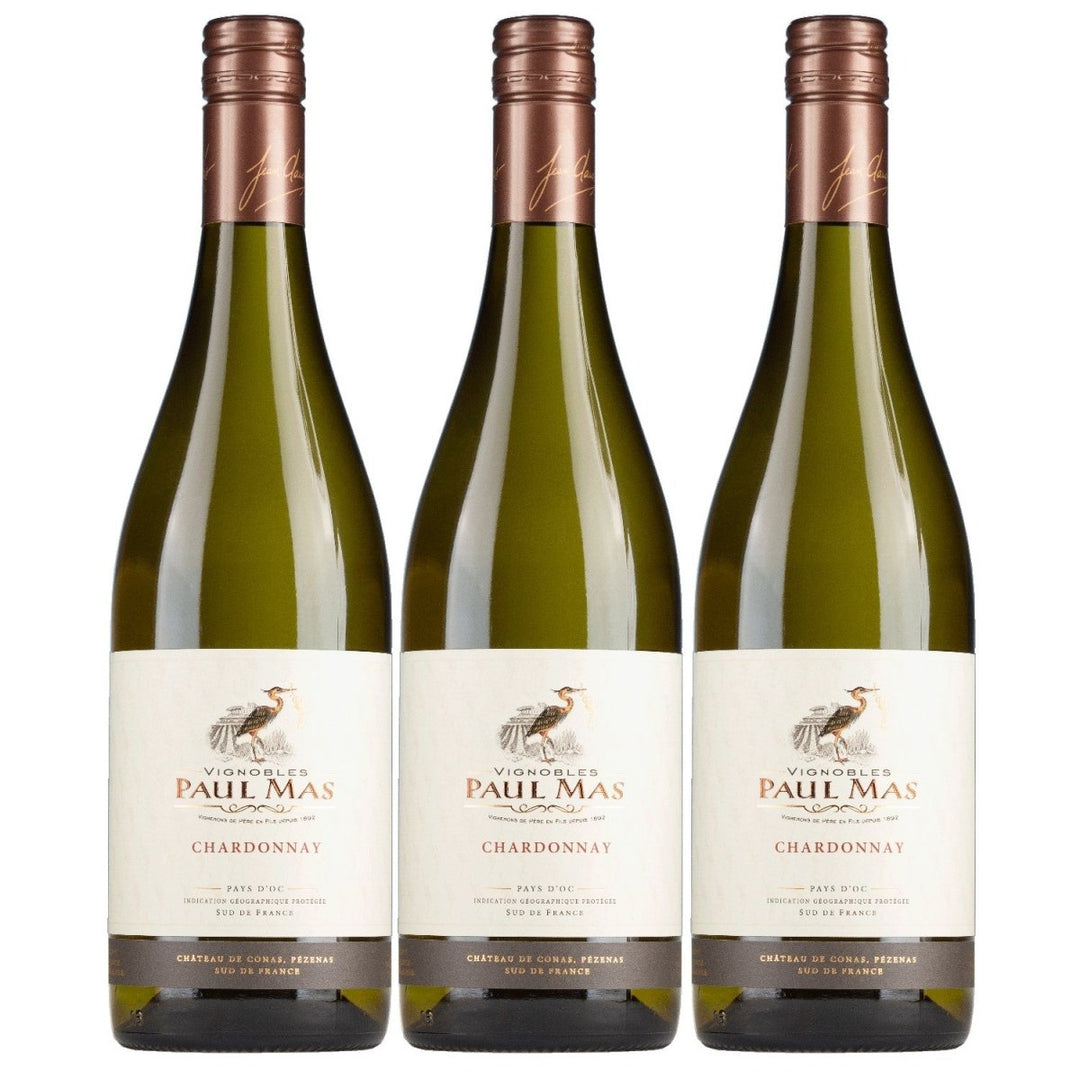 Domaines Paul Mas Classique Chardonnay Weisswein Weiss trocken Frankreich (1 x 0,75l) - Versanel - 