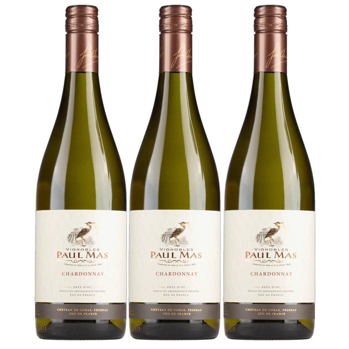 Domaines Paul Mas Classique Chardonnay Weisswein Weiss trocken Frankreich (1 x 0,75l) - Versanel - 