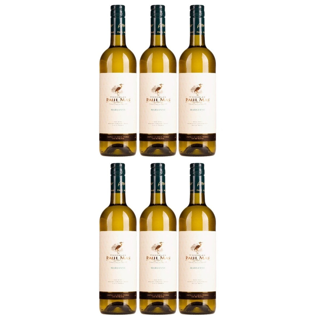 Domaines Paul Mas Classique Marsanne Weisswein Weiss trocken Frankreich (1 x 0,75l) - Versanel - 