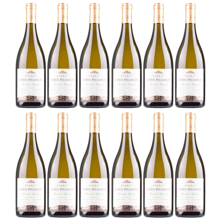 Domaines Paul Mas Esprit de Crès Ricards Marsanne / Roussanne Weisswein Weiss trocken Frankreich (1 x 0,75l) - Versanel - 