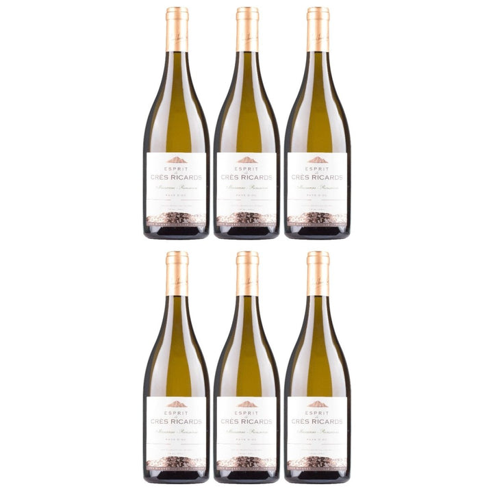 Domaines Paul Mas Esprit de Crès Ricards Marsanne / Roussanne Weisswein Weiss trocken Frankreich (1 x 0,75l) - Versanel - 