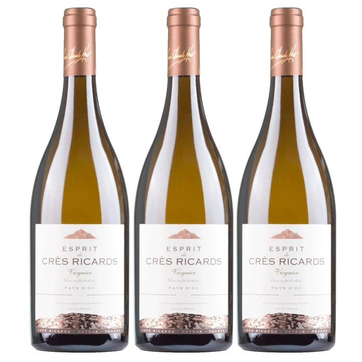 Domaines Paul Mas Esprit de Crès Ricards Viognier Weisswein Weiss trocken Frankreich (1 x 0,75l) - Versanel - 