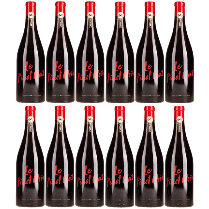 Domaines Paul Mas L'Artisan Pinot Noir Rotwein Rot trocken Frankreich (12 x 0,75l) - Versanel - 