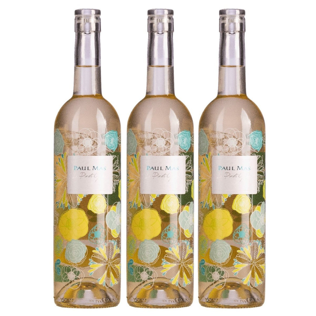 Domaines Paul Mas Le Pinot Grigio par Paul Mas Weisswein Weiss trocken Frankreich (1 x 0,75l) - Versanel - 