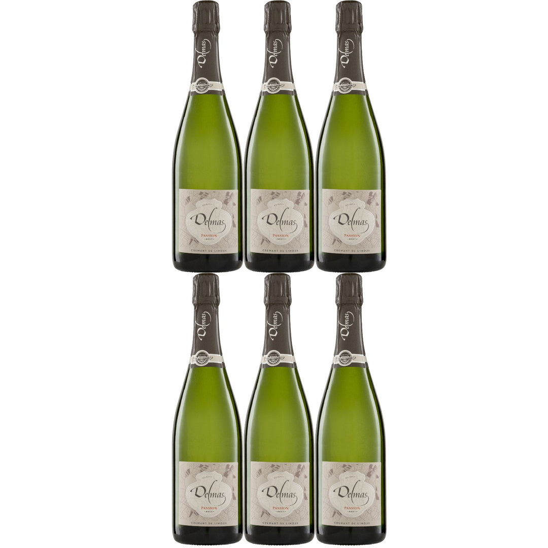 Domaine Delmas Crémant de Limoux Brut AOC Bio Schaumwein Frankreich (6 x 0,75l)