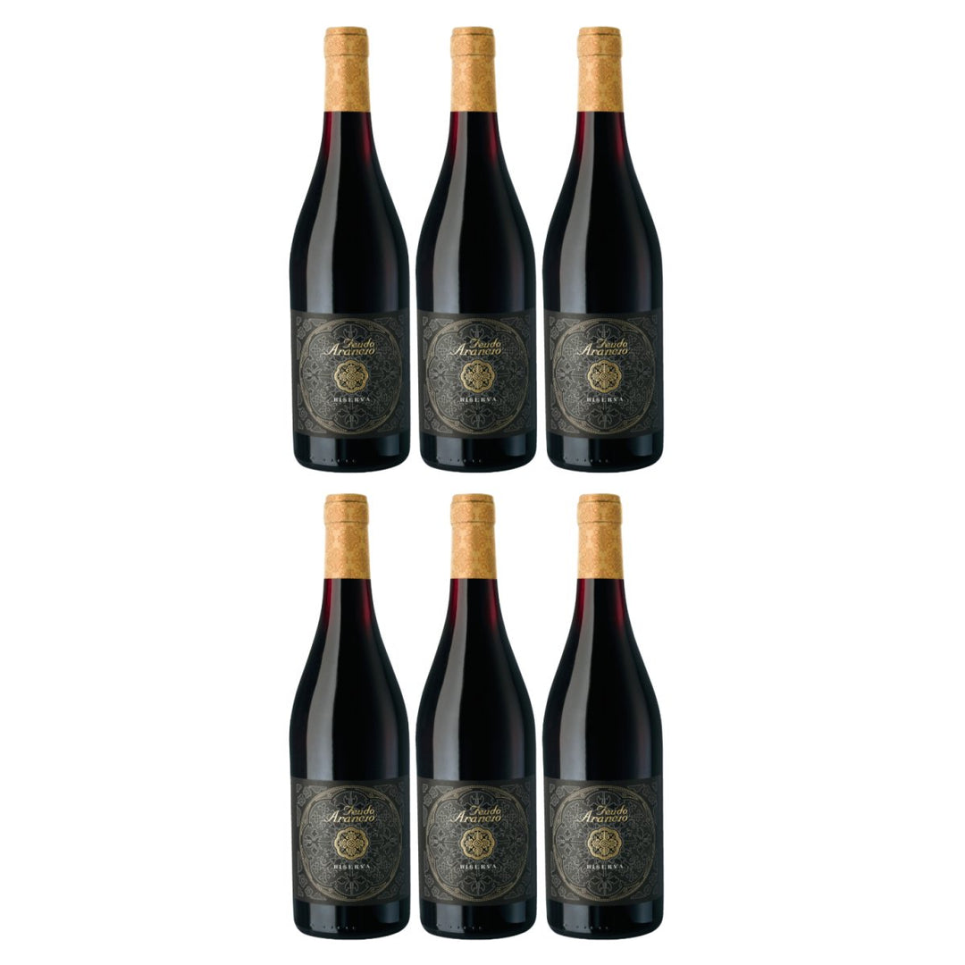Feudo Arancio Rosso Riserva Sicilia DOC Sizilien Rotwein trocken Italien (6 x 0.75l) - Versanel - Wein