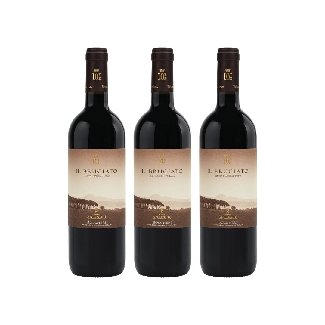 Guado al Tasso Il Bruciato Bolgheri DOC trocken Rotwein Italien (3 x 0.75 l) - Versanel - 