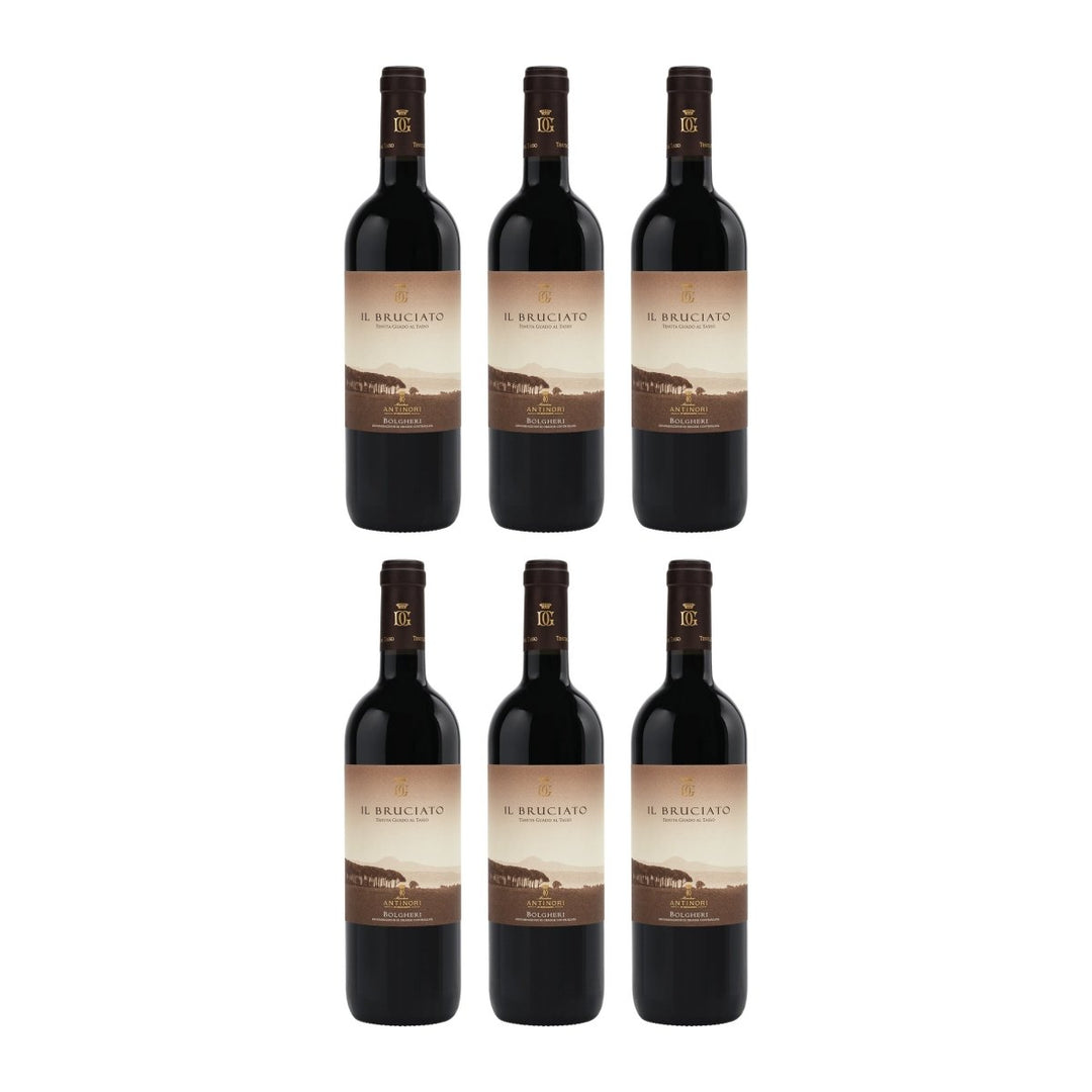 Guado al Tasso Il Bruciato Bolgheri DOC trocken Rotwein Italien (6 x 0.75 l) - Versanel - 