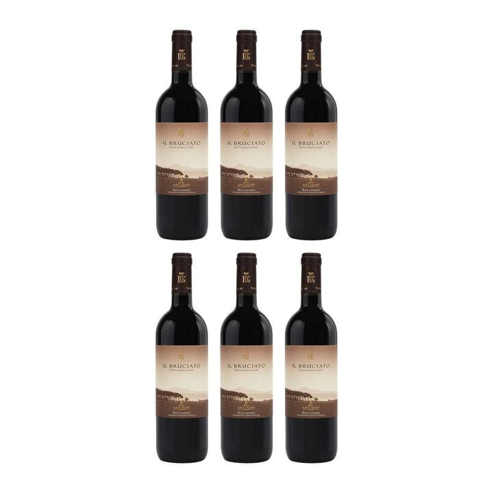 Guado al Tasso Il Bruciato Bolgheri DOC trocken Rotwein Italien (6 x 0.75 l) - Versanel - 