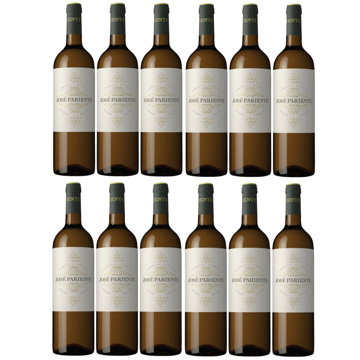 Jose Pariente Varietal Verdejo Weißwein Wein trocken Spanien (12 x 0,75l) - Versanel - 