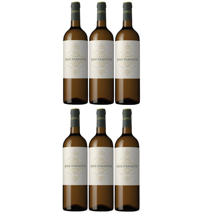 Jose Pariente Varietal Verdejo Weißwein Wein trocken Spanien (6 x 0,75l) - Versanel - 