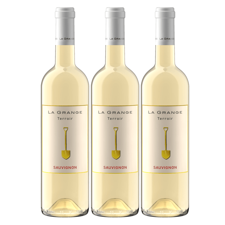 La Grange Terroir Sauvignon Blanc IGP Pays d'Oc Weißwein Wein Trocken Languedoc Frankreich (3 x 0,75l) - Versanel - Wein