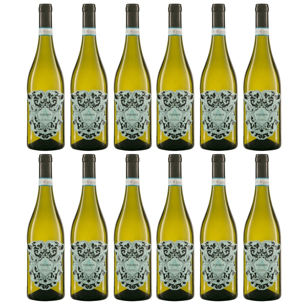 Lugana DOC COLLEZIONE Weißwein Trocken Italien (12 x 0.75l) - Versanel - 