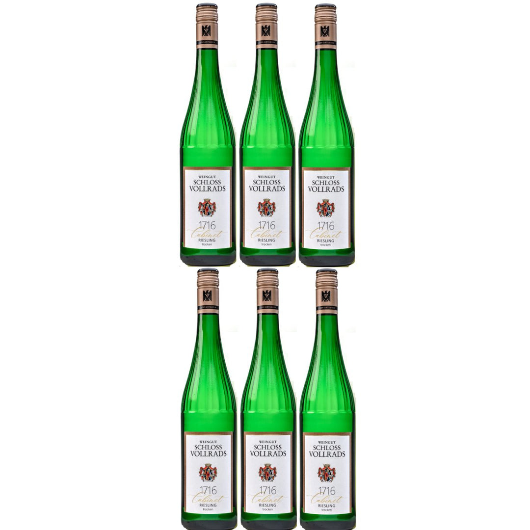 Schloss Vollrads "1716 Cabinet" trocken Riesling VDP. ORTSWEIN trocken Weißwein Deutschland (6 x 0,75l) - Versanel - 