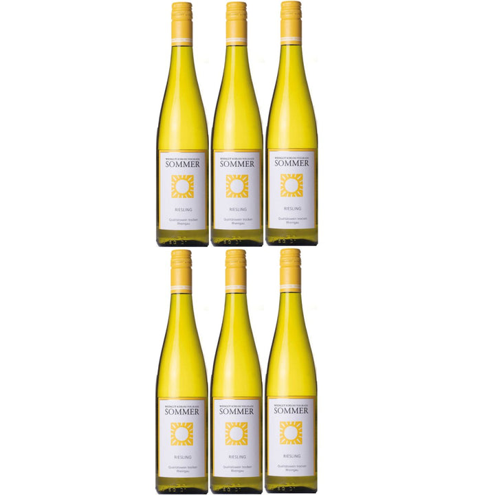 Schloss Vollrads Sommer trocken Weißwein Bio Deutschland Riesling (6 x 0,75l) - Versanel - 