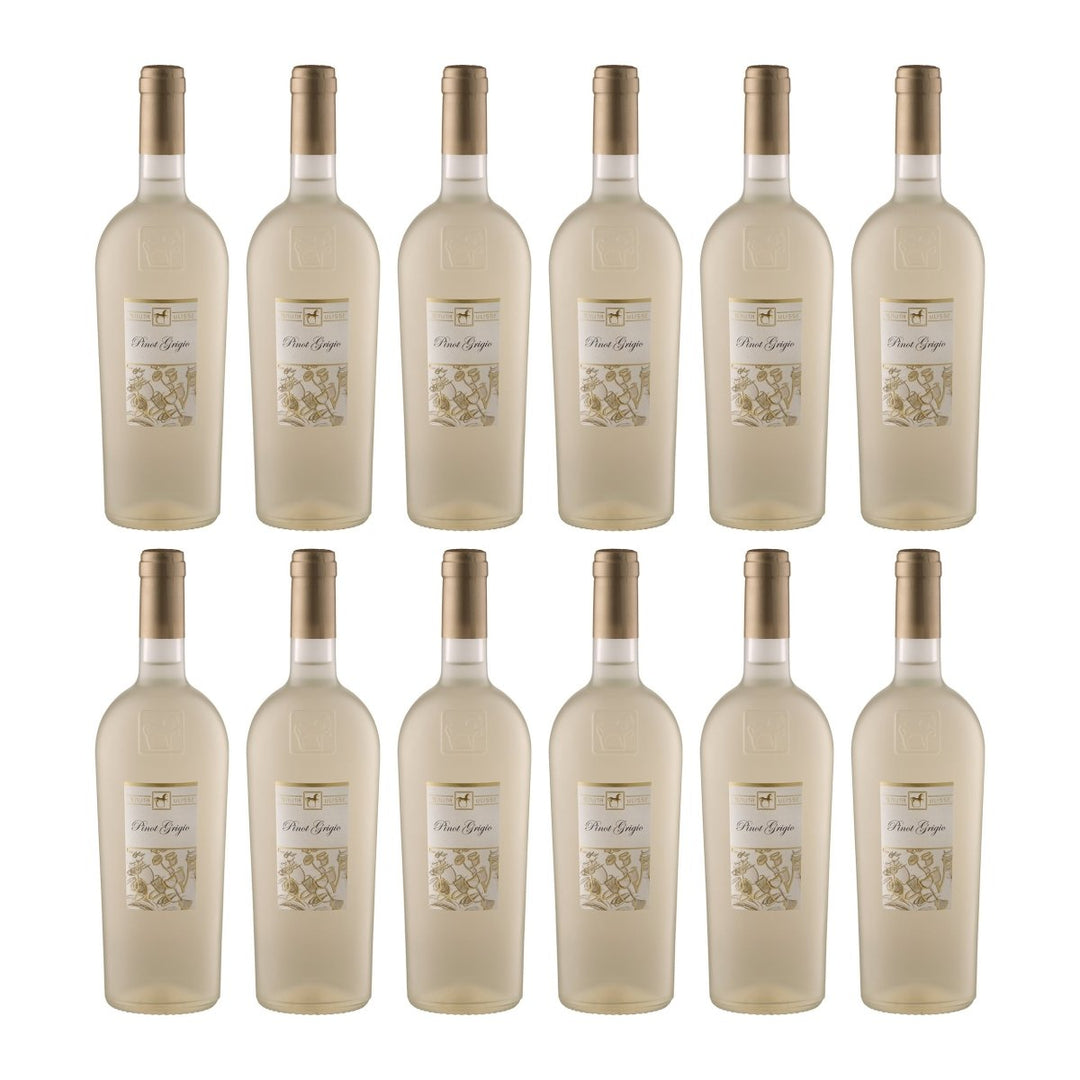 Tenuta Ulisse Premium Ulisse Pinot Grigio Terre d'Abruzzo IGP Weisswein Weiss halbtrocken Italien (12 x 0.75 l) - Versanel - 