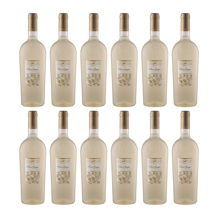 Tenuta Ulisse Premium Ulisse Pinot Grigio Terre d'Abruzzo IGP Weisswein Weiss halbtrocken Italien (12 x 0.75 l) - Versanel - 