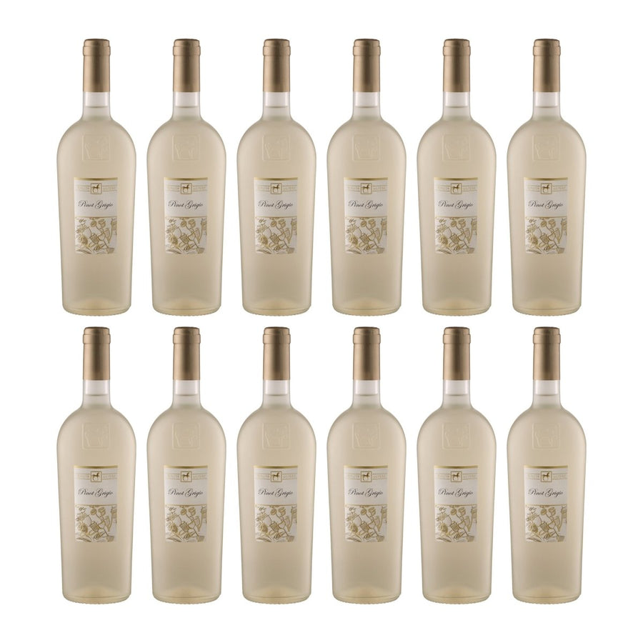 Tenuta Ulisse Premium Ulisse Pinot Grigio Terre d'Abruzzo IGP Weisswein Weiss halbtrocken Italien (12 x 0.75 l) - Versanel - 