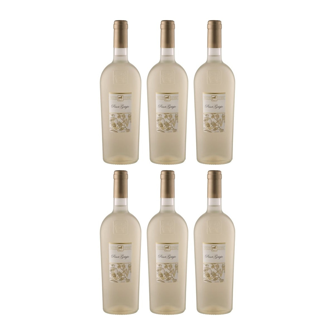 Tenuta Ulisse Premium Ulisse Pinot Grigio Terre d'Abruzzo IGP Weisswein Weiss halbtrocken Italien (6 x 0.75 l) - Versanel - 