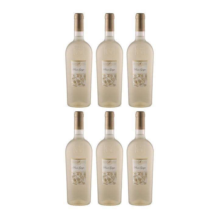 Tenuta Ulisse Premium Ulisse Pinot Grigio Terre d'Abruzzo IGP Weisswein Weiss halbtrocken Italien (6 x 0.75 l) - Versanel - 