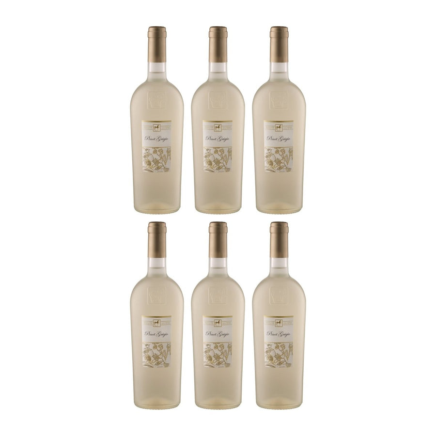 Tenuta Ulisse Premium Ulisse Pinot Grigio Terre d'Abruzzo IGP Weisswein Weiss halbtrocken Italien (6 x 0.75 l) - Versanel - 