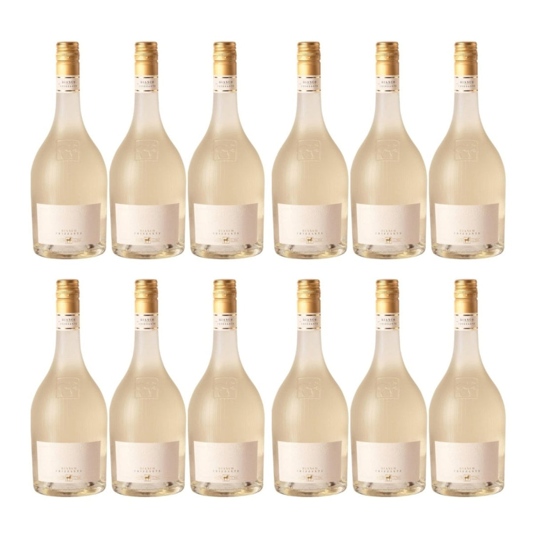 Tenuta Ulisse ULISSE Frizzante Bianco Schaumwein trocken Italien (12 x 0.75 l) - Versanel - 
