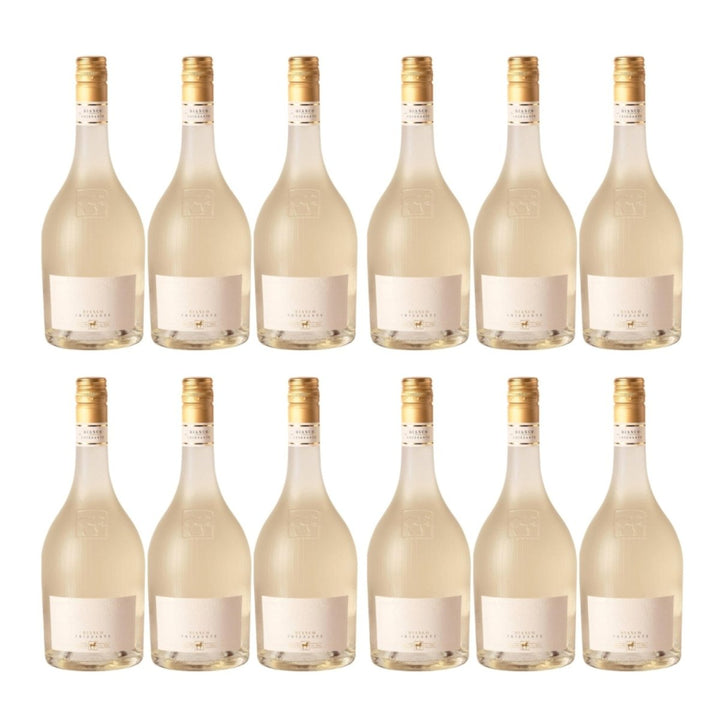 Tenuta Ulisse ULISSE Frizzante Bianco Schaumwein trocken Italien (12 x 0.75 l) - Versanel - 