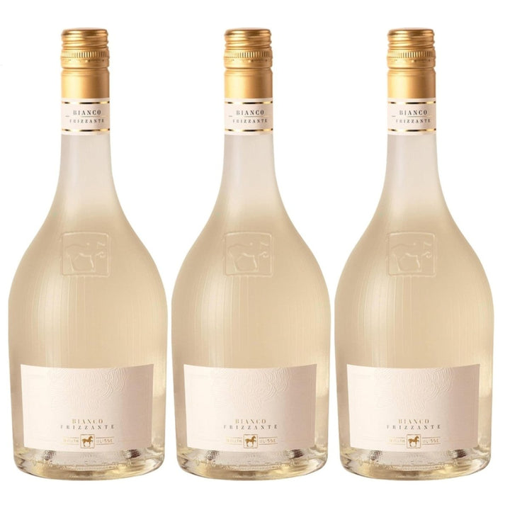 Tenuta Ulisse ULISSE Frizzante Bianco Schaumwein trocken Italien (3 x 0.75 l) - Versanel - 