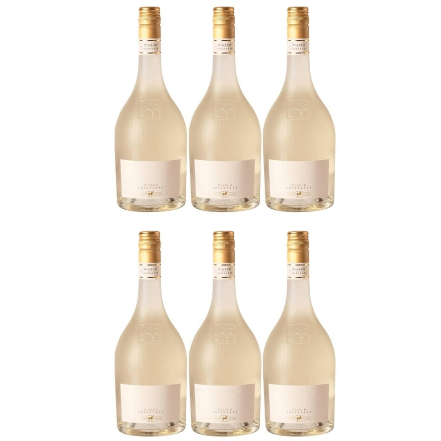 Tenuta Ulisse ULISSE Frizzante Bianco Schaumwein trocken Italien (6 x 0.75 l) - Versanel - 