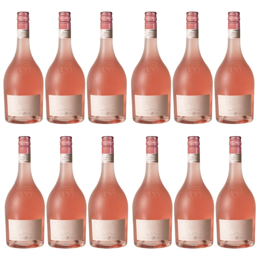 Tenuta Ulisse ULISSE Frizzante Rosé Schaumwein trocken Italien (12 x 0.75 l) - Versanel - 
