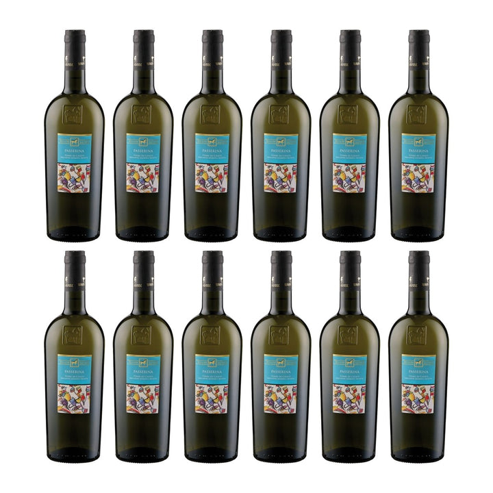 Tenuta Ulisse ULISSE Passerina Terre d'Abruzzo IGP Weisswein Weiss trocken Italien (12 x 0.75 l) - Versanel - 