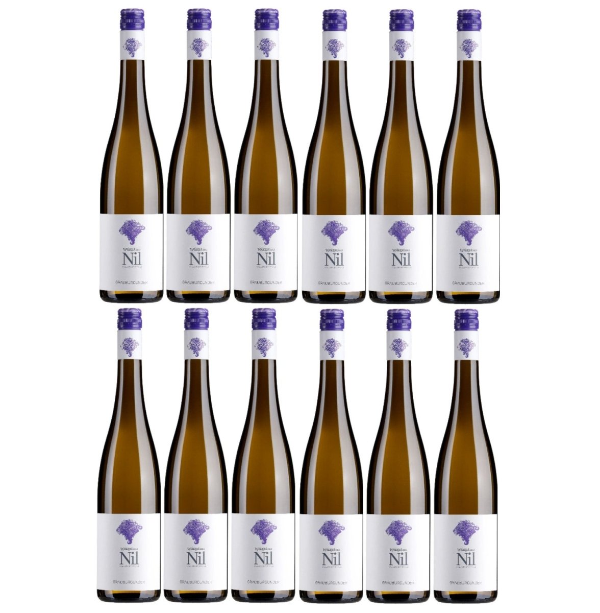 Weingut am Nil, Grauburgunder trocken, Deutscher Qualitätswein g.U. Pfalz Weißwein Wein Deutschland (12 x 0,75 l) - Versanel - 