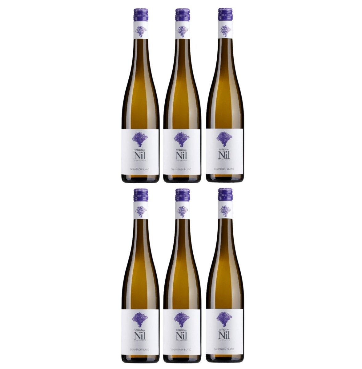 Weingut am Nil, Sauvignon Blanc trocken, Deutscher Qualitätswein g.U. Pfalz Weißwein Wein Deutschland - Versanel - 