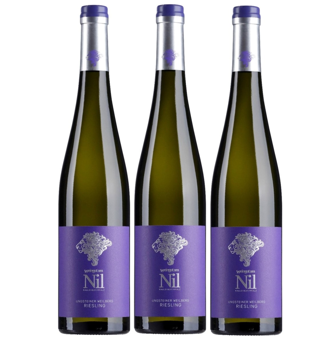 Weingut am Nil, Ungsteiner Weilberg Riesling trocken, Deutscher Qualitätswein g.U. Pfalz Weißwein Wein Deutschland (3 x 0,75 l) - Versanel - 