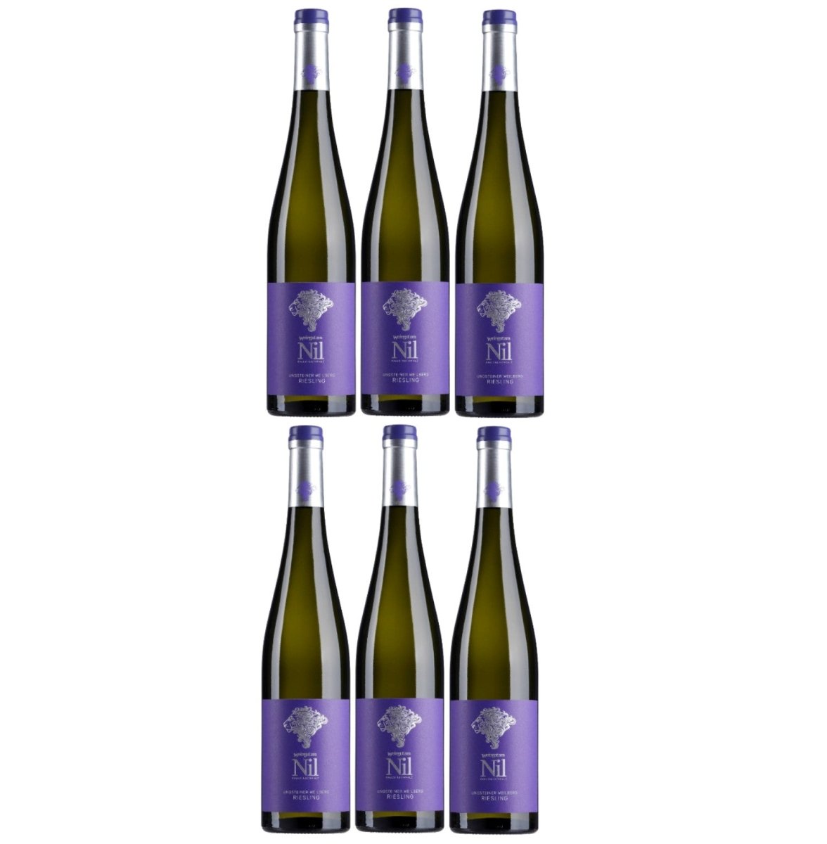 Weingut am Nil, Ungsteiner Weilberg Riesling trocken, Deutscher Qualitätswein g.U. Pfalz Weißwein Wein Deutschland (6 x 0,75 l) - Versanel - 