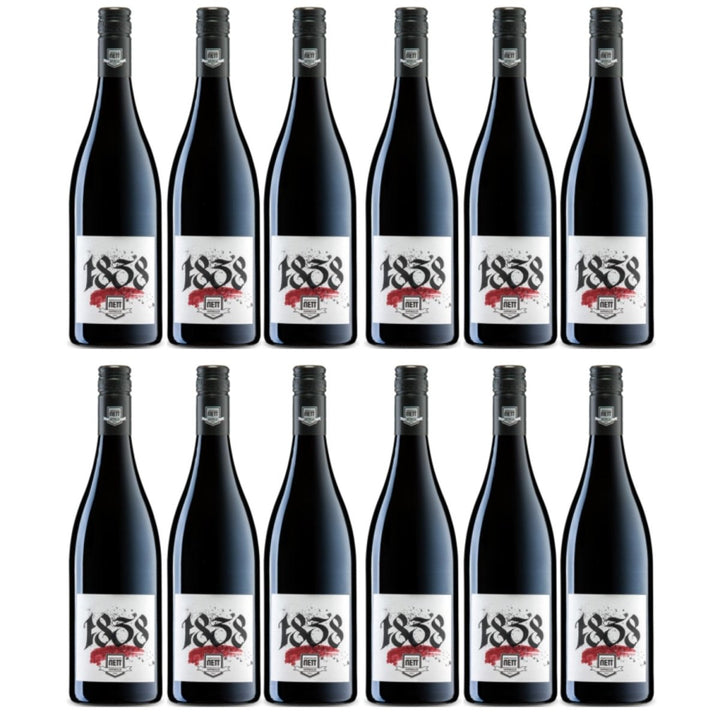 Weingut Bergdolt - Reif & Nett 1838 Rotweincuvée Rotwein Dornfelder Lagrein Merlot Shiraz trocken rot Deutschland (12 x 0,75l) - Versanel - 