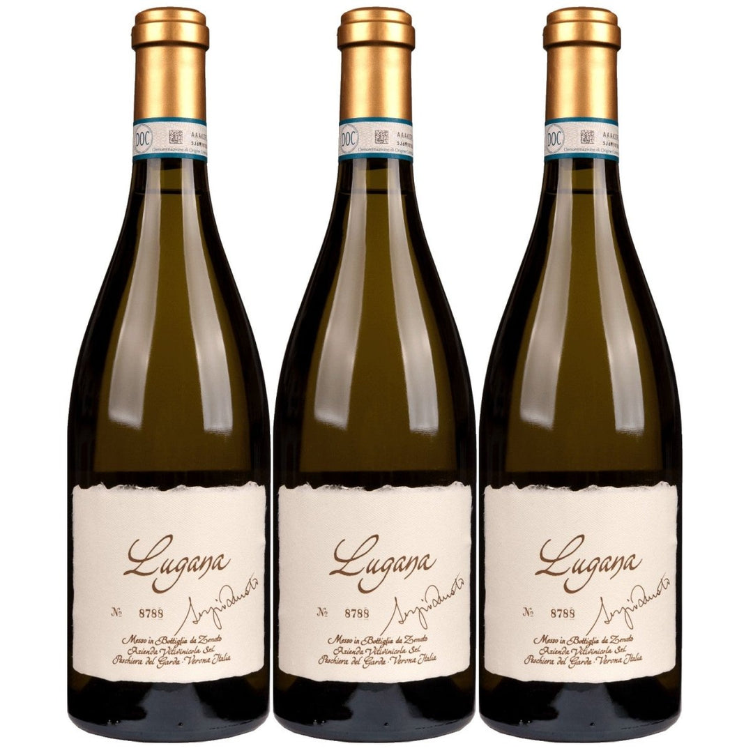 Zenato Lugana Riserva Sel. Sergio Weisswein Weiss trocken Italien (3 x 0,75l) - Versanel - 