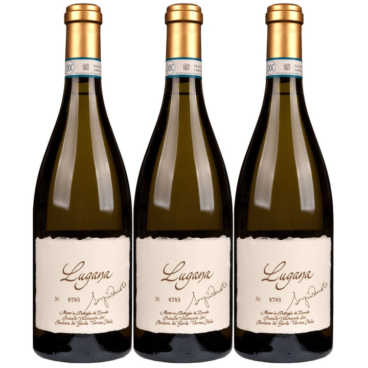 Zenato Lugana Riserva Sel. Sergio Weisswein Weiss trocken Italien (3 x 0,75l) - Versanel - 