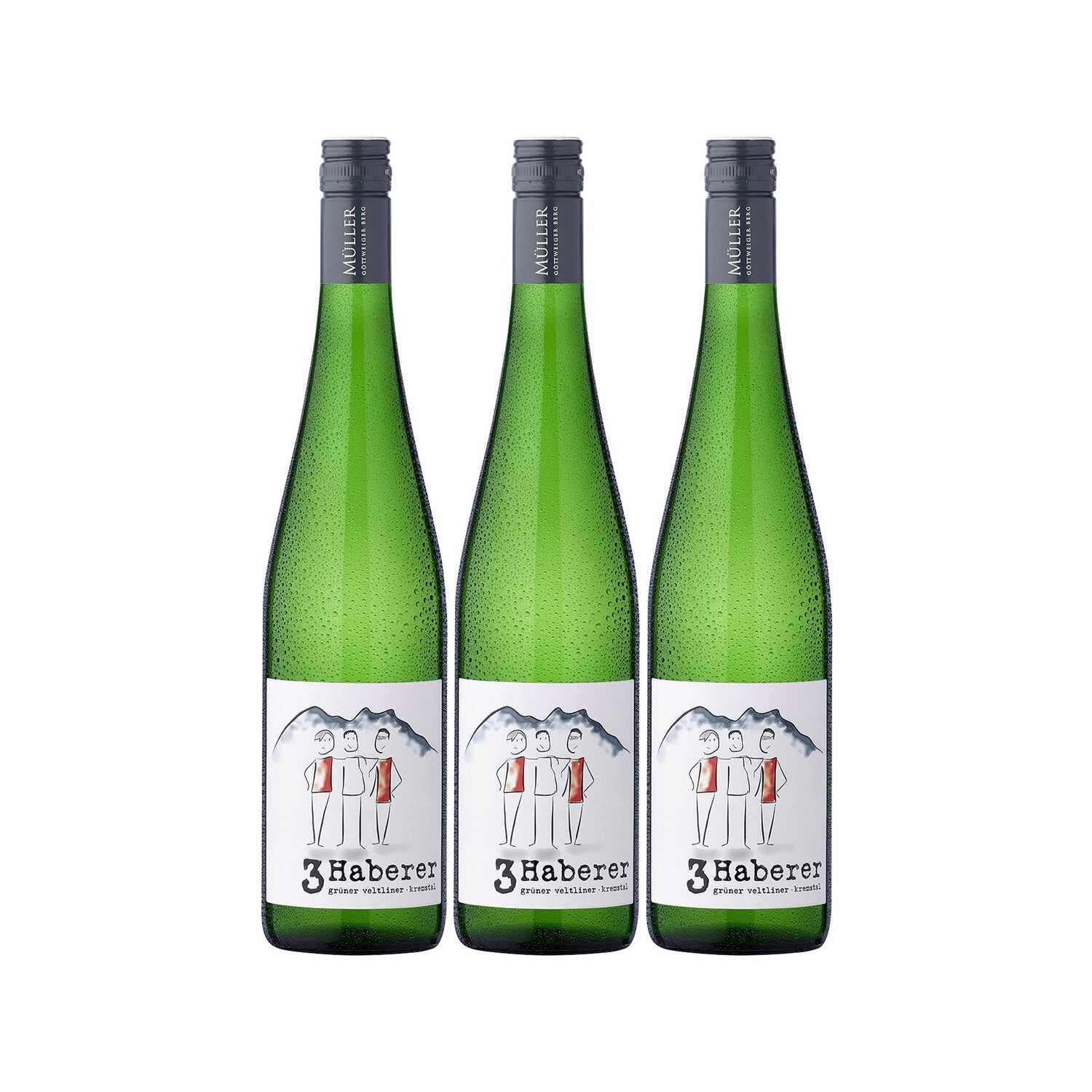 3 Haberer Grüner Veltliner Kremstal DAC Weißwein Wein trocken Österreich (3 x 0.75l) - Versanel - Wein