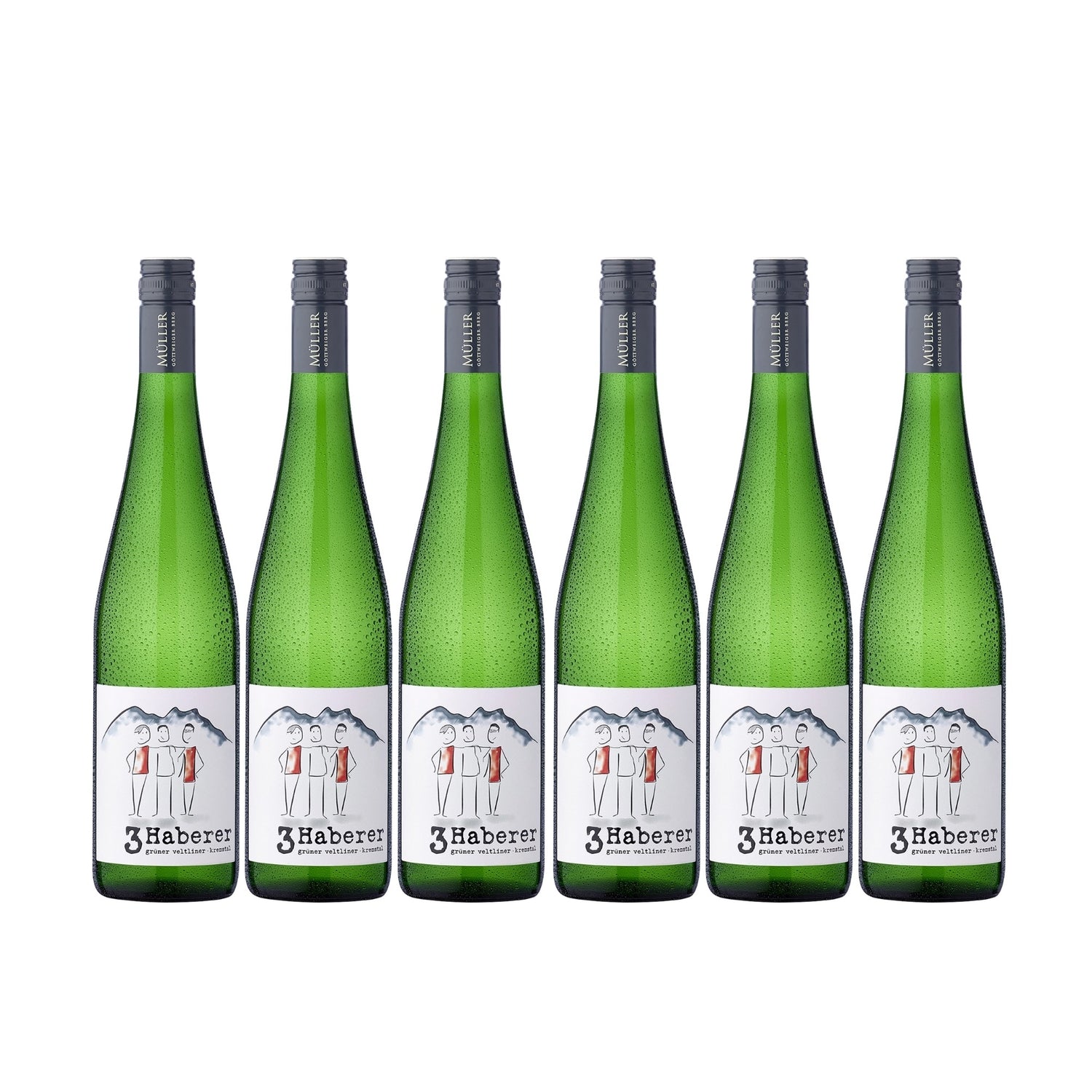 3 Haberer Grüner Veltliner Kremstal DAC Weißwein Wein trocken Österreich (6 x 0.75l) - Versanel - Wein